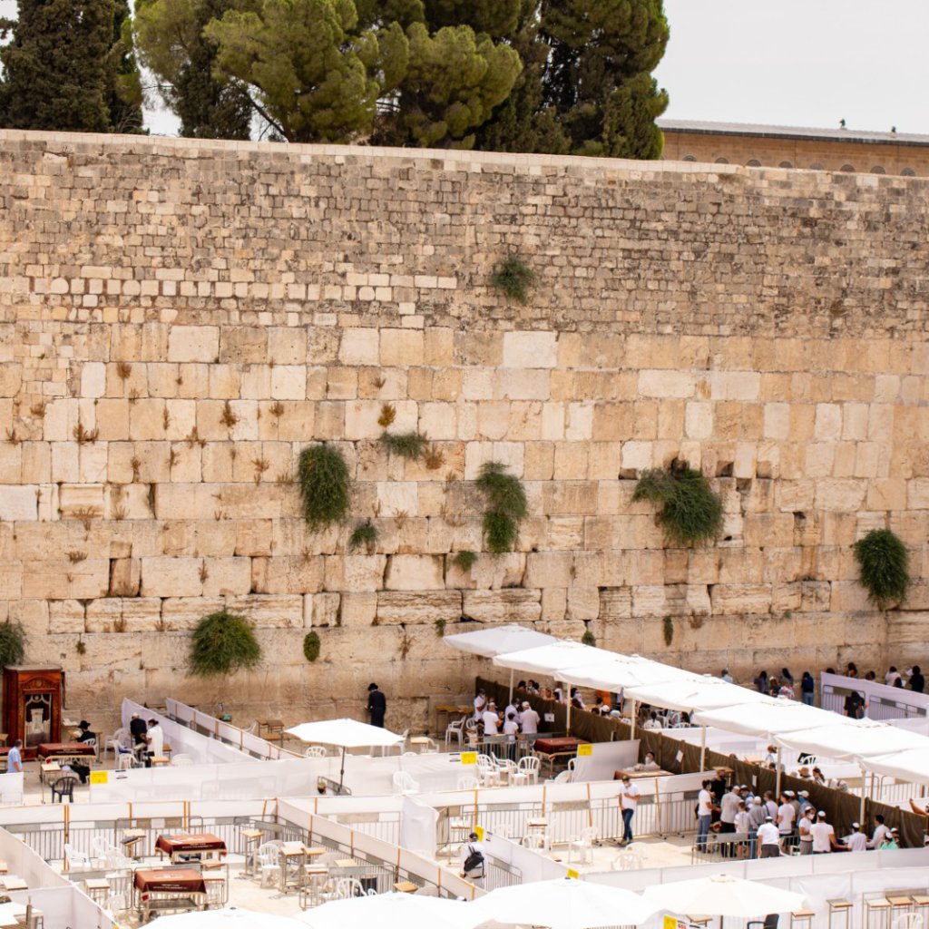 קרדיט תמונה: קים צילום אירועים