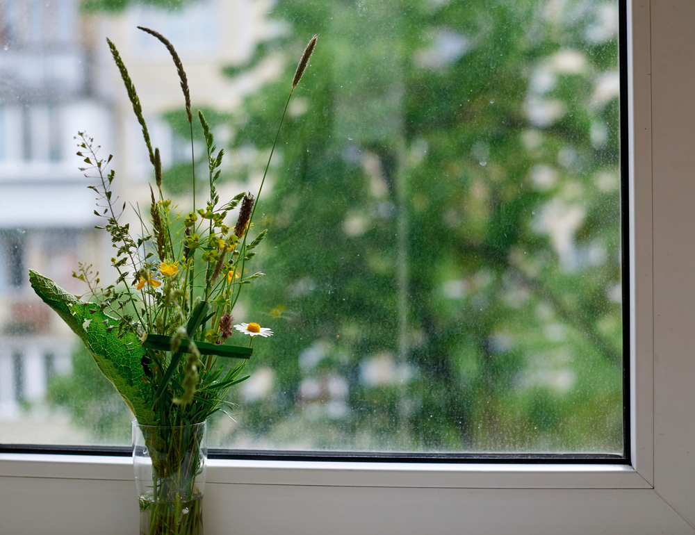 פרחים ליד החלון בעציץ